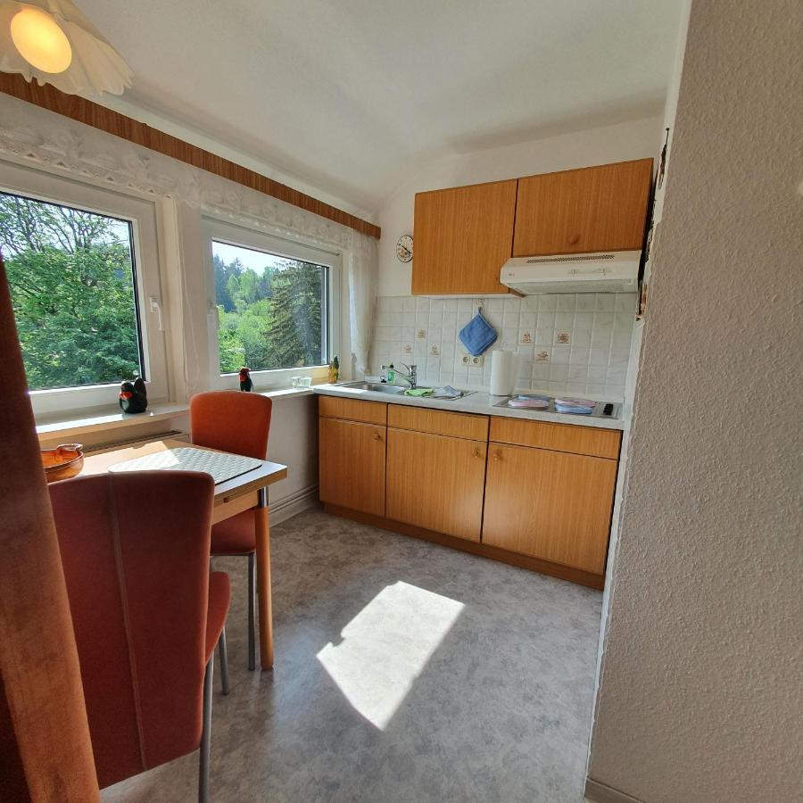 Hotel Haus Daheim Braunlage Exteriér fotografie